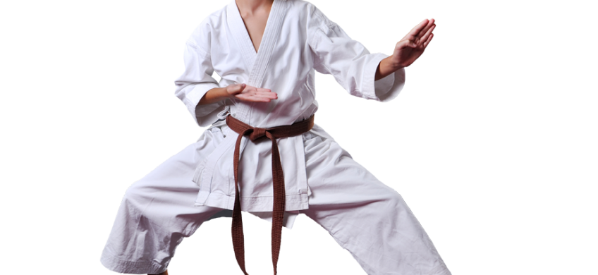 teen boy in karate stance